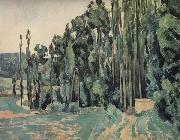 Paul Cezanne The Poplars oil painting reproduction